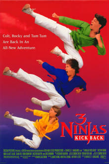 Tres Pequeños Ninjas II 1994 ES